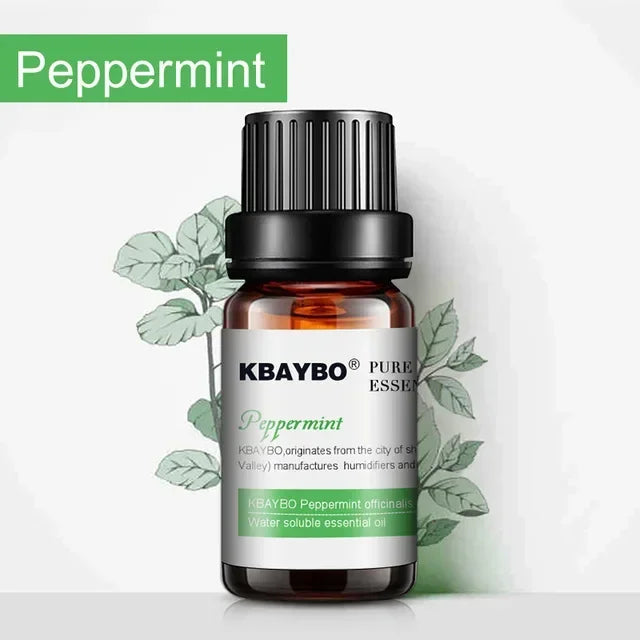 6 Essential Oils Aromatherapy Set | Pure Scents for Diffuser & Spa