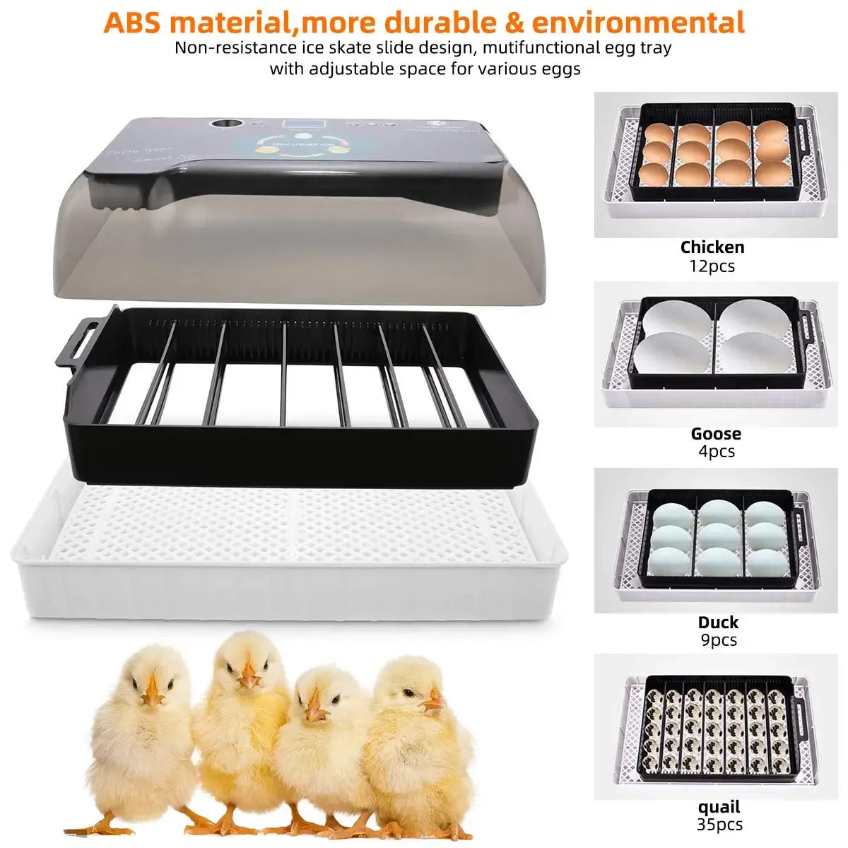 12 Egg Digital Automatic Incubator - Clear View Hatcher for Poultry
