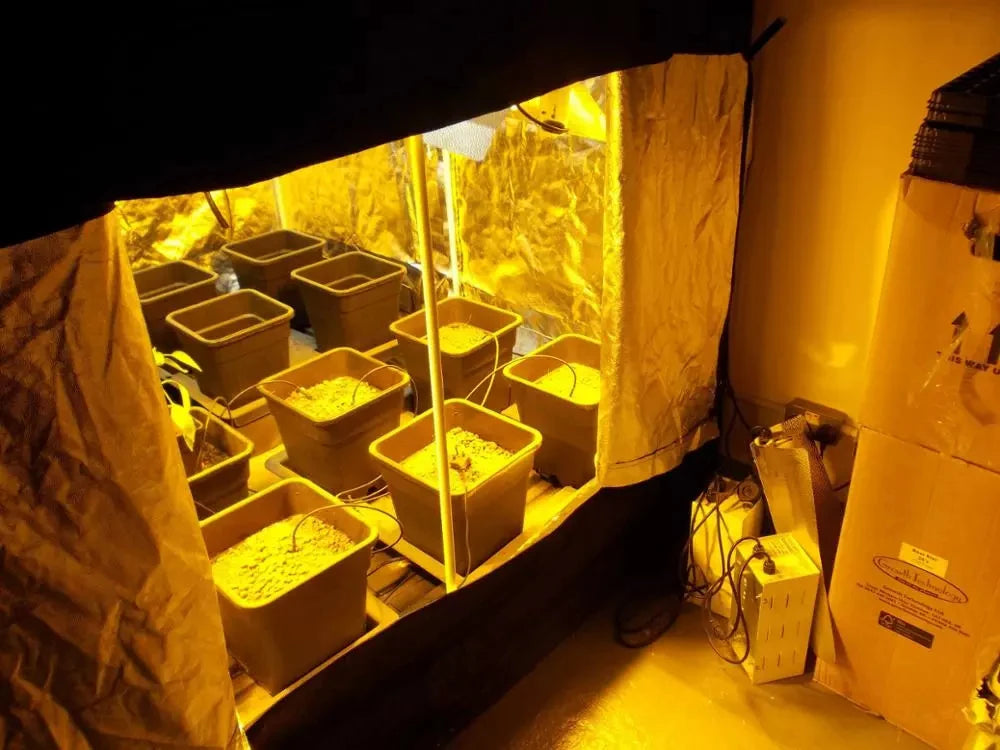 150x150x200cm Grow Tent | Stealth Hydroponic Room - 600D Mylar Fabric