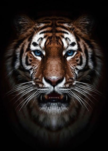 Powerful Black and White Animal Print Canvas with Over 100 Styles and Sizes - Buy Confidently with Smart Sales Australia