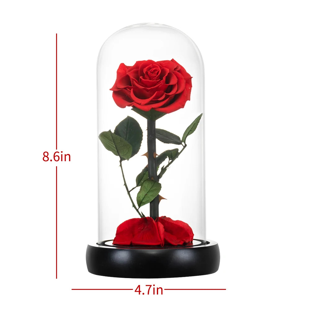 Preserved Rose in Glass Dome - Eternal LED Wedding Gift Rose
