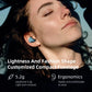 1DD+1BA Hybrid TWS Earbuds | Bluetooth 5.2 Wireless HIFI Monitor IEM