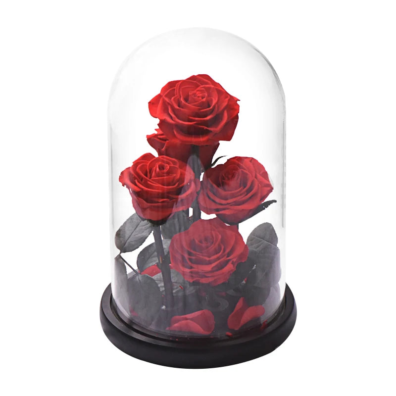 Preserved Rose in Glass Dome - Eternal LED Wedding Gift Rose