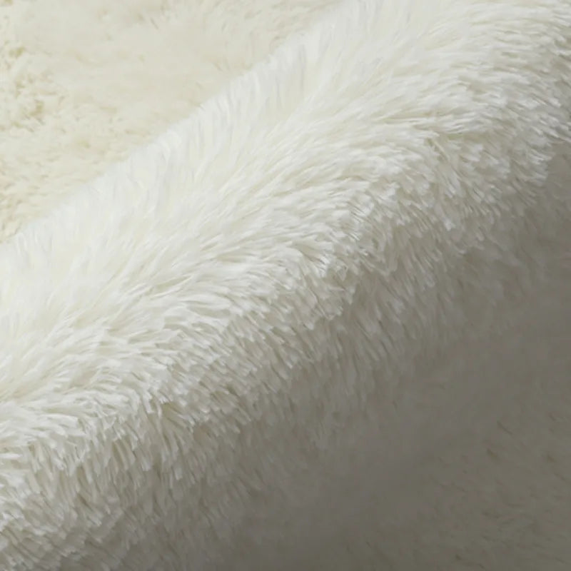 Large Fluffy Rug 160x230cm - Washable Non-Slip Plush Carpet