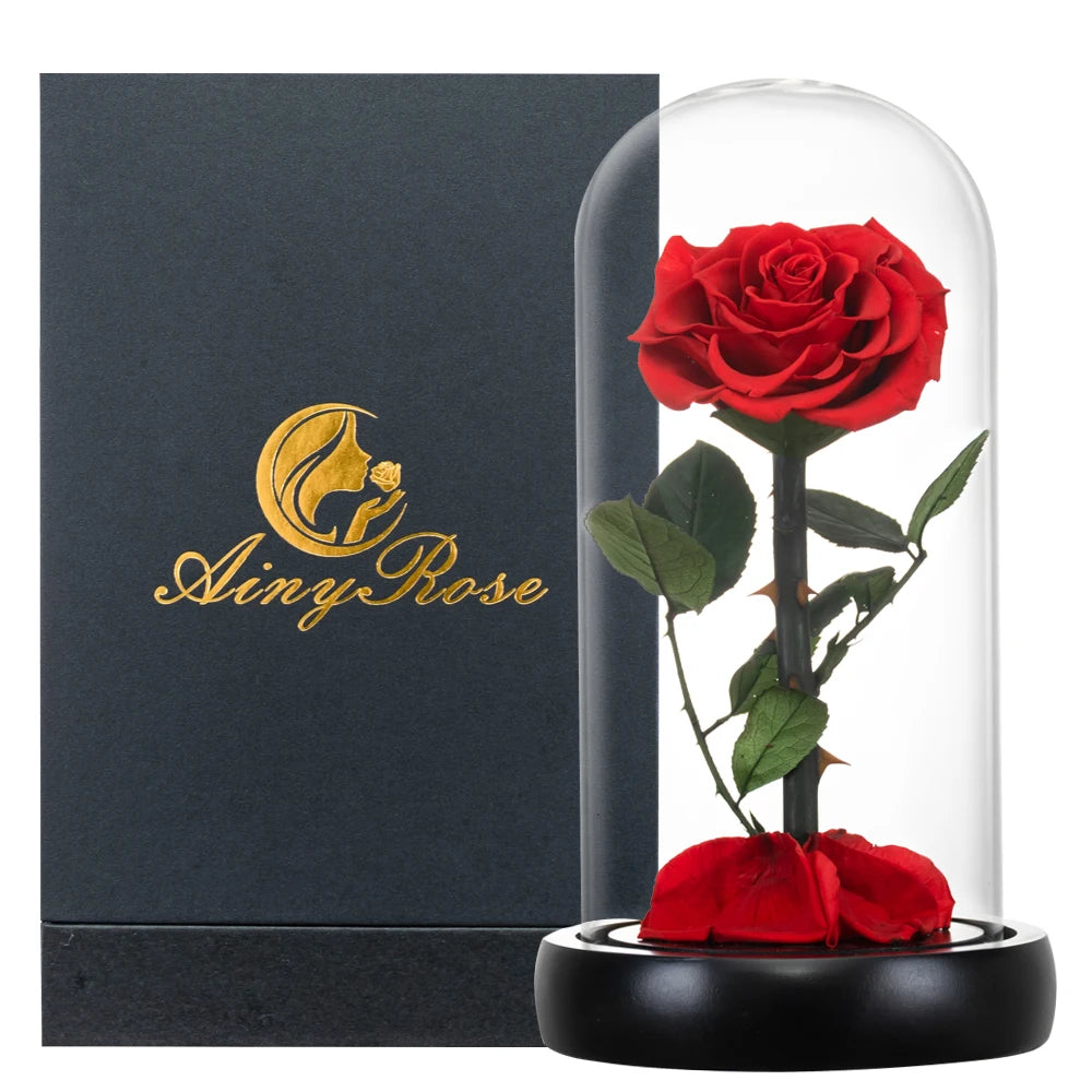 Preserved Rose in Glass Dome - Eternal LED Wedding Gift Rose