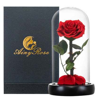 Preserved Rose in Glass Dome - Eternal LED Wedding Gift Rose