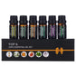 6-Piece 10ml Pure Natural Essential Oils Gift Set - 6 Scents