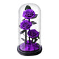 Preserved Rose in Glass Dome - Eternal LED Wedding Gift Rose