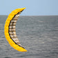 2.5m Yellow Dual Line Parafoil Kite - High-Power Stunt Kite