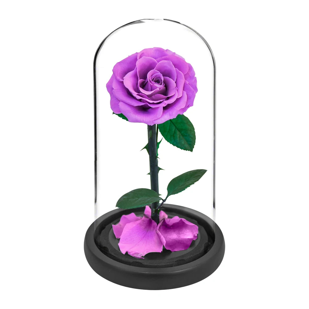 Preserved Rose in Glass Dome - Eternal LED Wedding Gift Rose