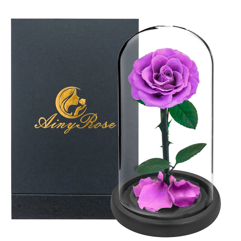 Preserved Rose in Glass Dome - Eternal LED Wedding Gift Rose