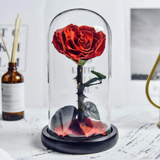 Preserved Rose in Glass Dome - Eternal LED Wedding Gift Rose
