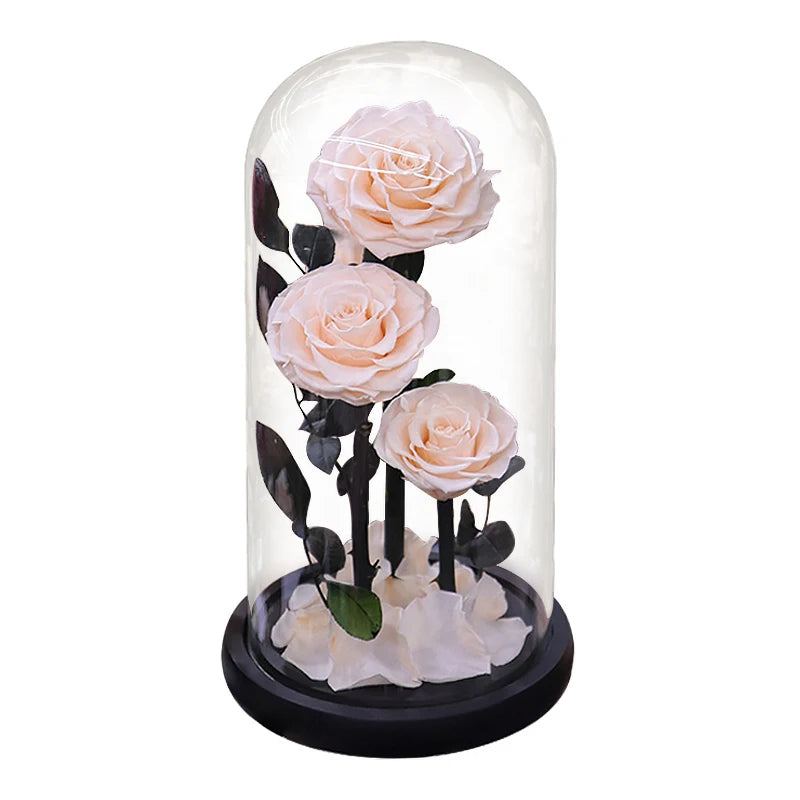 Preserved Rose in Glass Dome - Eternal LED Wedding Gift Rose