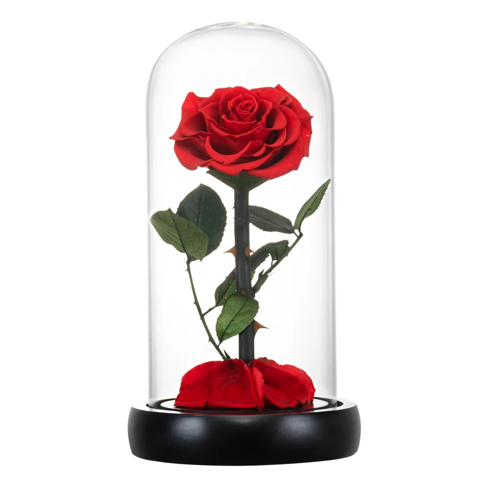 Preserved Rose in Glass Dome - Eternal LED Wedding Gift Rose