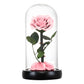 Preserved Rose in Glass Dome - Eternal LED Wedding Gift Rose