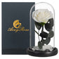 Preserved Rose in Glass Dome - Eternal LED Wedding Gift Rose