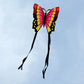 Butterfly Kite for Outdoor Fun - Easy Flying Handle & Line Set