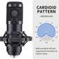 Professional Studio Microphone Kit - Scissor Arm Shock Mount