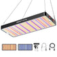 Full Spectrum LED Grow Light | LM301H High-Output Veg & Bloom Series