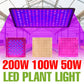 200W LED Plant Grow Light | Full Spectrum Quantum Board Greenhouse Lamp