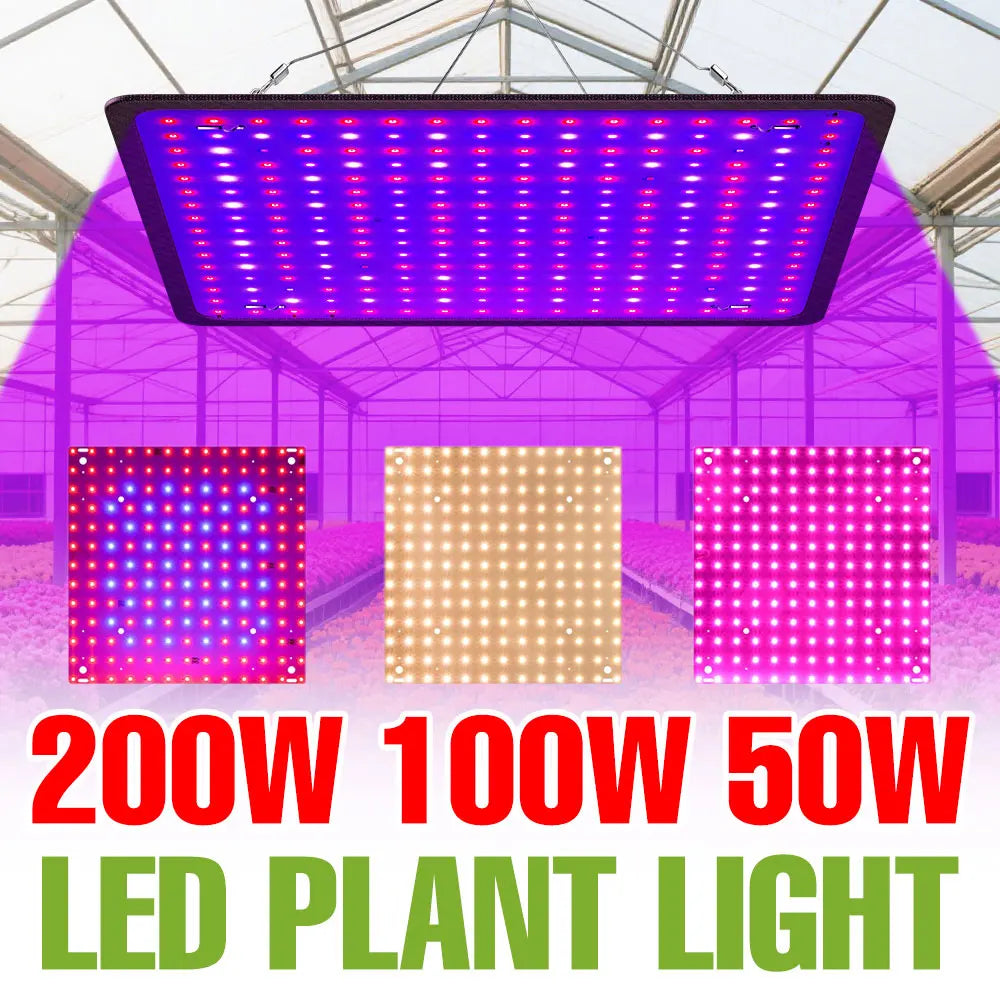 200W LED Plant Grow Light | Full Spectrum Quantum Board Greenhouse Lamp