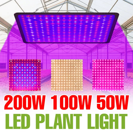 200W LED Plant Grow Light | Full Spectrum Quantum Board Greenhouse Lamp