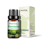 10ml Fruity Fragrance Oil - Refreshing Aromatherapy Aroma Oil