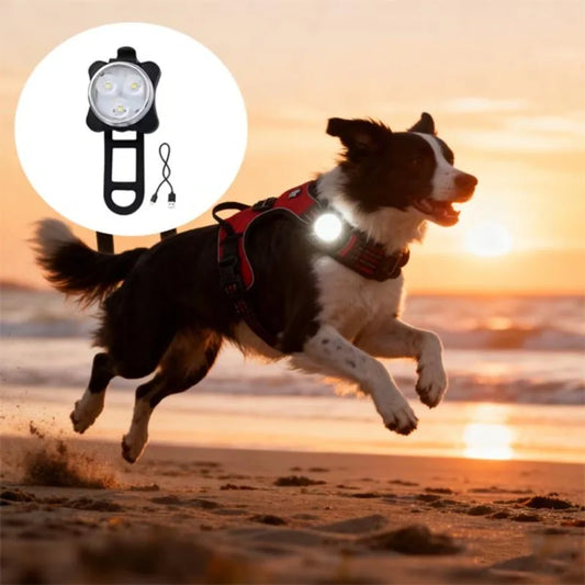 Portable Pet Safety LED Light | USB Rechargeable 4-Mode Dog Collar Tag