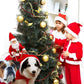 Funny Santa Rider Dog Costume - Christmas Pet Coat Jacket