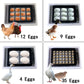 12 Egg Digital Automatic Incubator - Clear View Hatcher for Poultry