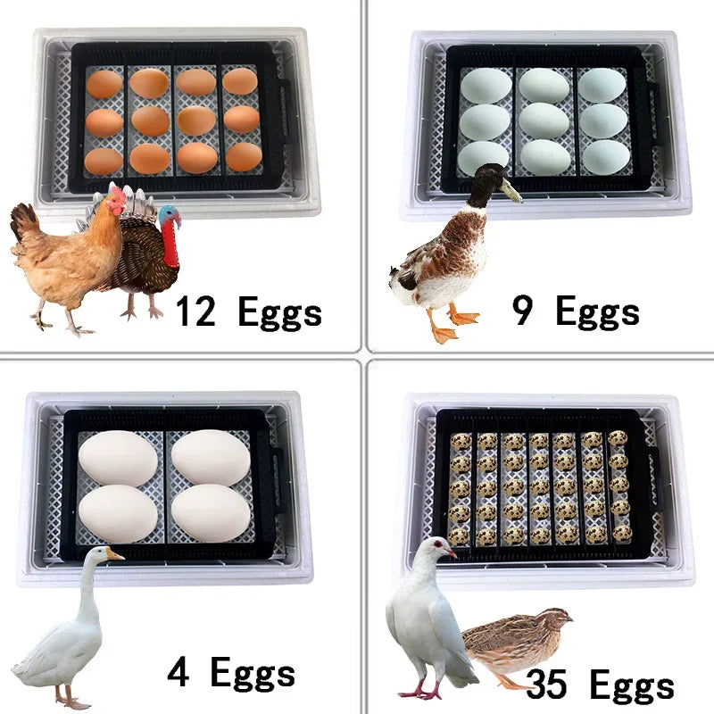 12 Egg Digital Automatic Incubator - Clear View Hatcher for Poultry