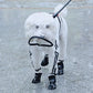 Transparent Dog Raincoat Jumpsuit - Full Body Waterproof Jacket