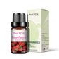 10ml Fruity Fragrance Oil - Refreshing Aromatherapy Aroma Oil
