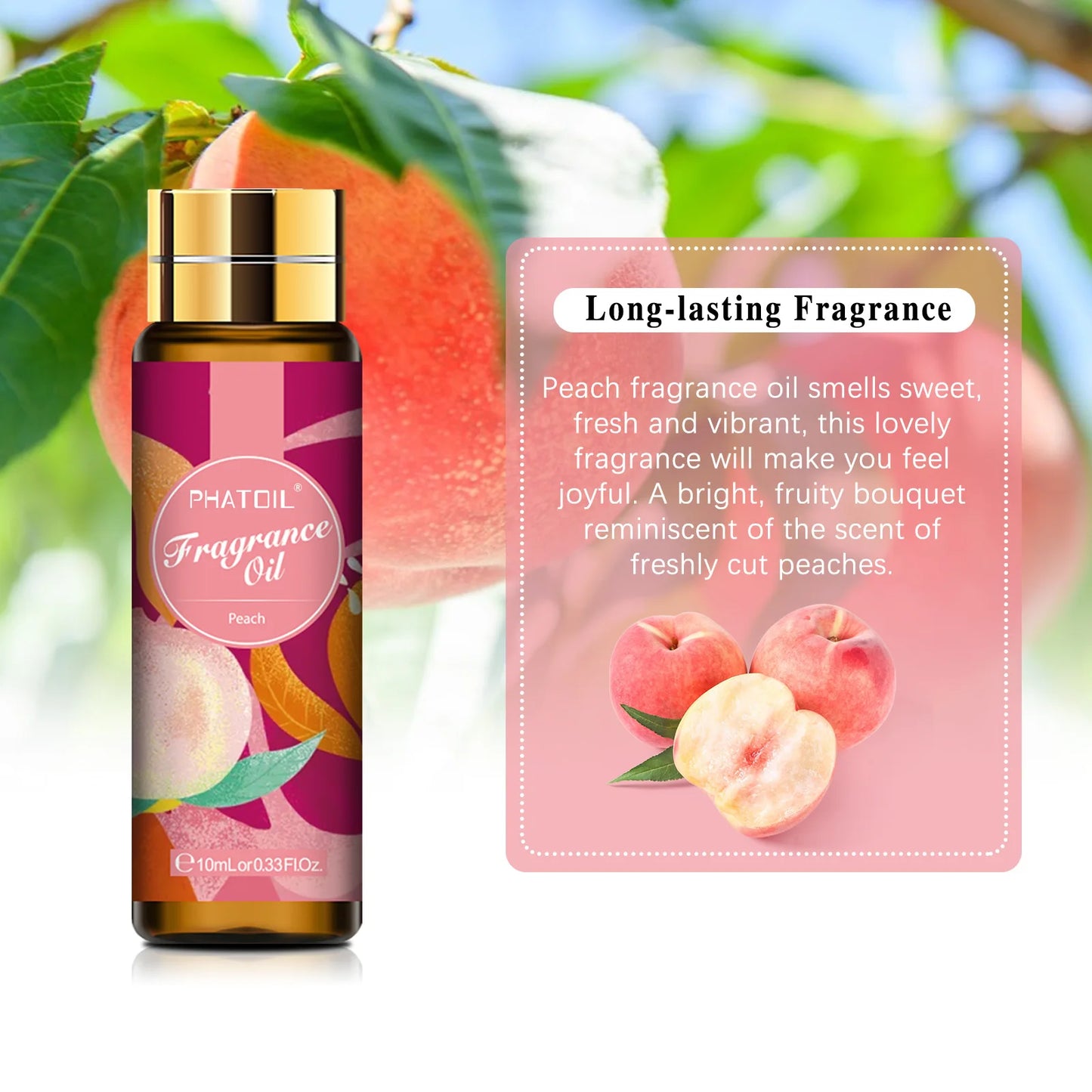 10ml Fragrance Oil with Glass Dropper - Coconut & Vanilla Aroma