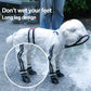 Transparent Dog Raincoat Jumpsuit - Full Body Waterproof Jacket