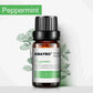 6 Essential Oils Aromatherapy Set | Pure Scents for Diffuser & Spa