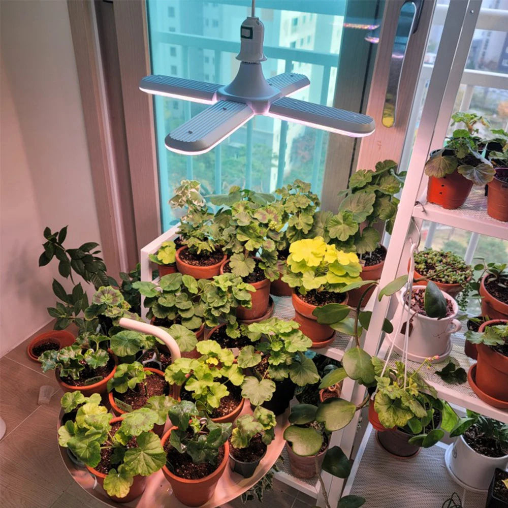 Full Spectrum LED Growth Lamp | 48W Greenhouse Plant Light & Bracket