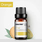 6 Essential Oils Aromatherapy Set | Pure Scents for Diffuser & Spa