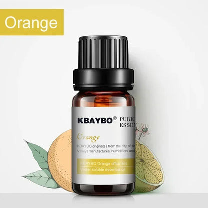 6 Essential Oils Aromatherapy Set | Pure Scents for Diffuser & Spa
