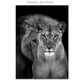 Black & White Lion Canvas Painting | Modern Animal Wall Art Mural Print