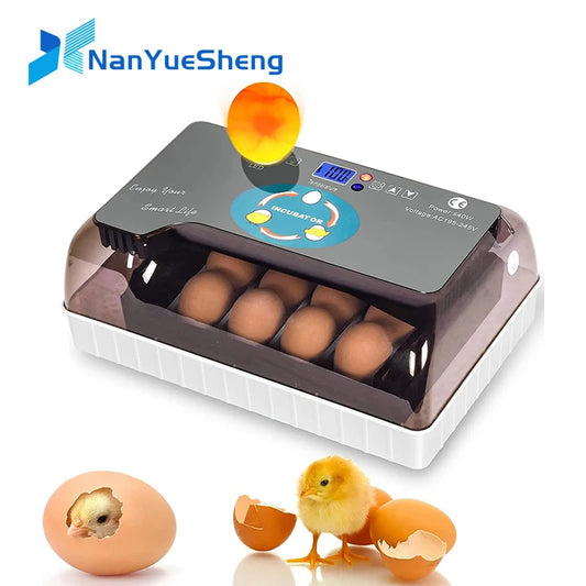 12 Egg Digital Automatic Incubator - Clear View Hatcher for Poultry