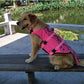 Shark Dog Life Jacket | High Buoyancy Swimming Safety Vest + Handle