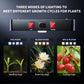 Full Spectrum LED Grow Light | LM301H High-Output Veg & Bloom Series