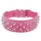 Wide Spiked Skull Dog Collar | Studded Leather Bully Collar for Large