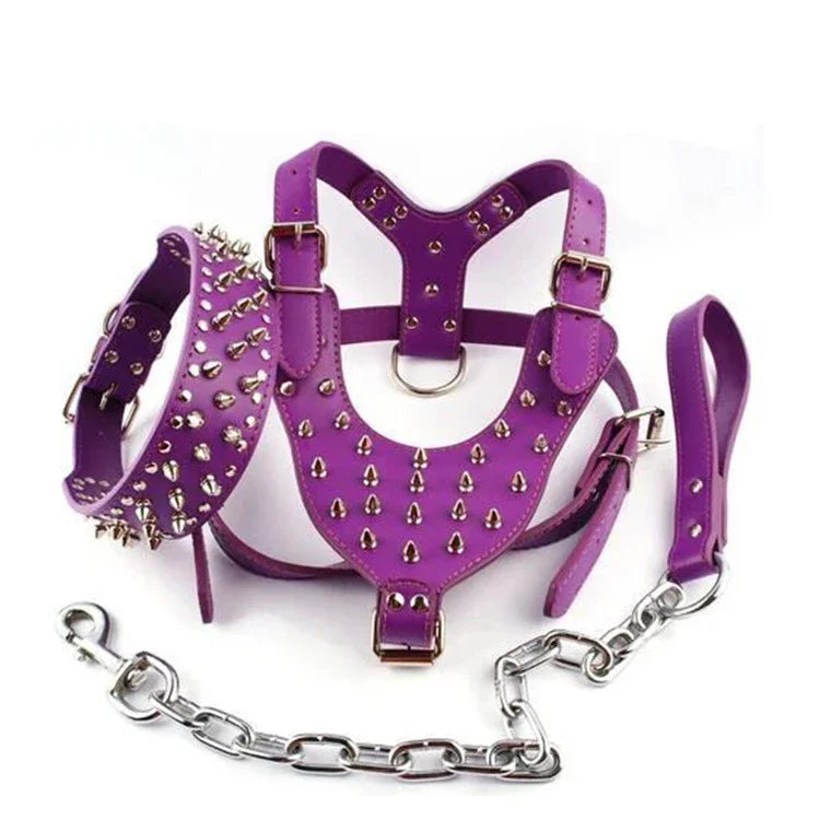 Spiked Studded Dog Harness Set - Heavy Duty Leather 3-Piece