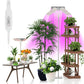 Full Spectrum LED Grow Light | LM301H High-Output Veg & Bloom Series