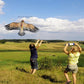 1.1m Eagle Kite with 30m Line - Large Realistic Bird Hatcher