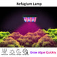 30W Refugium Light with Timer | Full Spectrum Algae Tank LED Sump Lamp