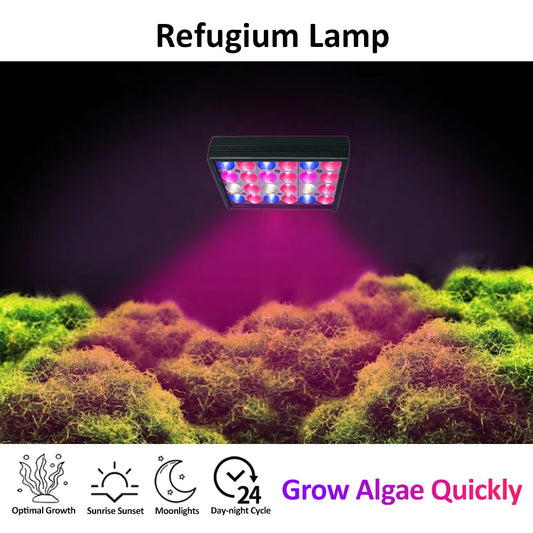 30W Refugium Light with Timer | Full Spectrum Algae Tank LED Sump Lamp
