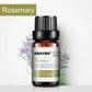 6 Essential Oils Aromatherapy Set | Pure Scents for Diffuser & Spa